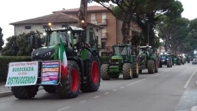 9F7AA725 E6E0 418A 9780 22FFA8953B83