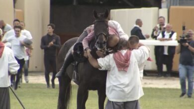 Giostra della Quintana 2024 della rivincita, Palio al Rione Ammanniti dopo 17 anni 1