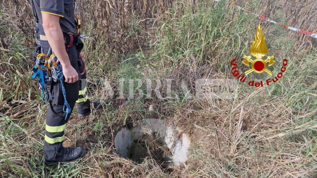 Deruta, cane cade in un pozzo: salvato dai vigili del fuoco 4 Deruta, cane cade in un pozzo: salvato dai vigili del fuoco 3