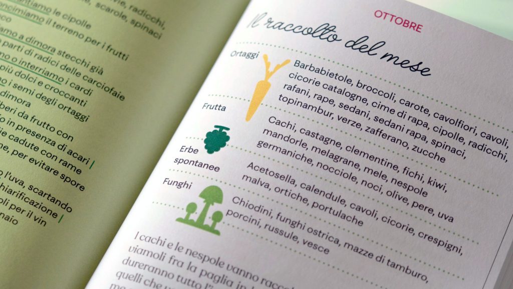 In edicola, in libreria e online da oggi il Barbanera 2026, il calendario ricco di notizie e informazioni utili 6 In edicola, in libreria e online da oggi il Barbanera 2026, il calendario ricco di notizie e informazioni utili 5