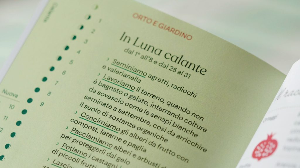 In edicola, in libreria e online da oggi il Barbanera 2026, il calendario ricco di notizie e informazioni utili 10 In edicola, in libreria e online da oggi il Barbanera 2026, il calendario ricco di notizie e informazioni utili 9