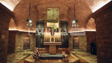 San Francesco vive, ad Assisi prima ostensione pubblica prolungata delle spoglie mortali del Santo 29