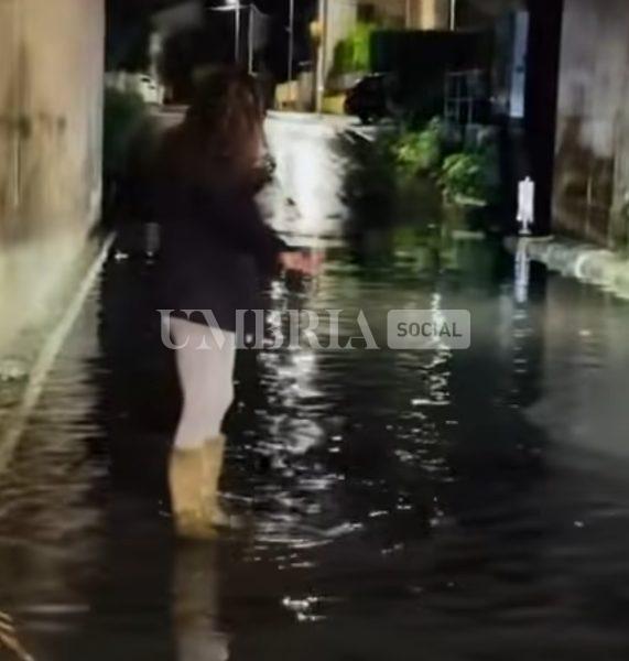 Maltempo nella provincia di Perugia: alberi caduti e automobilisti salvati dai Vigili del Fuoco (foto+video) 8 Maltempo nella provincia di Perugia: alberi caduti e automobilisti salvati dai Vigili del Fuoco (foto+video) 7
