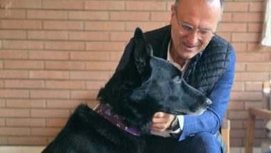 Bastia Umbra punta sul benessere animale: pronto un nuovo regolamento comunale 4 Bastia Umbra punta sul benessere animale: pronto un nuovo regolamento comunale 3