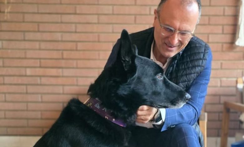 Bastia Umbra punta sul benessere animale: pronto un nuovo regolamento comunale 2 Bastia Umbra punta sul benessere animale: pronto un nuovo regolamento comunale 1