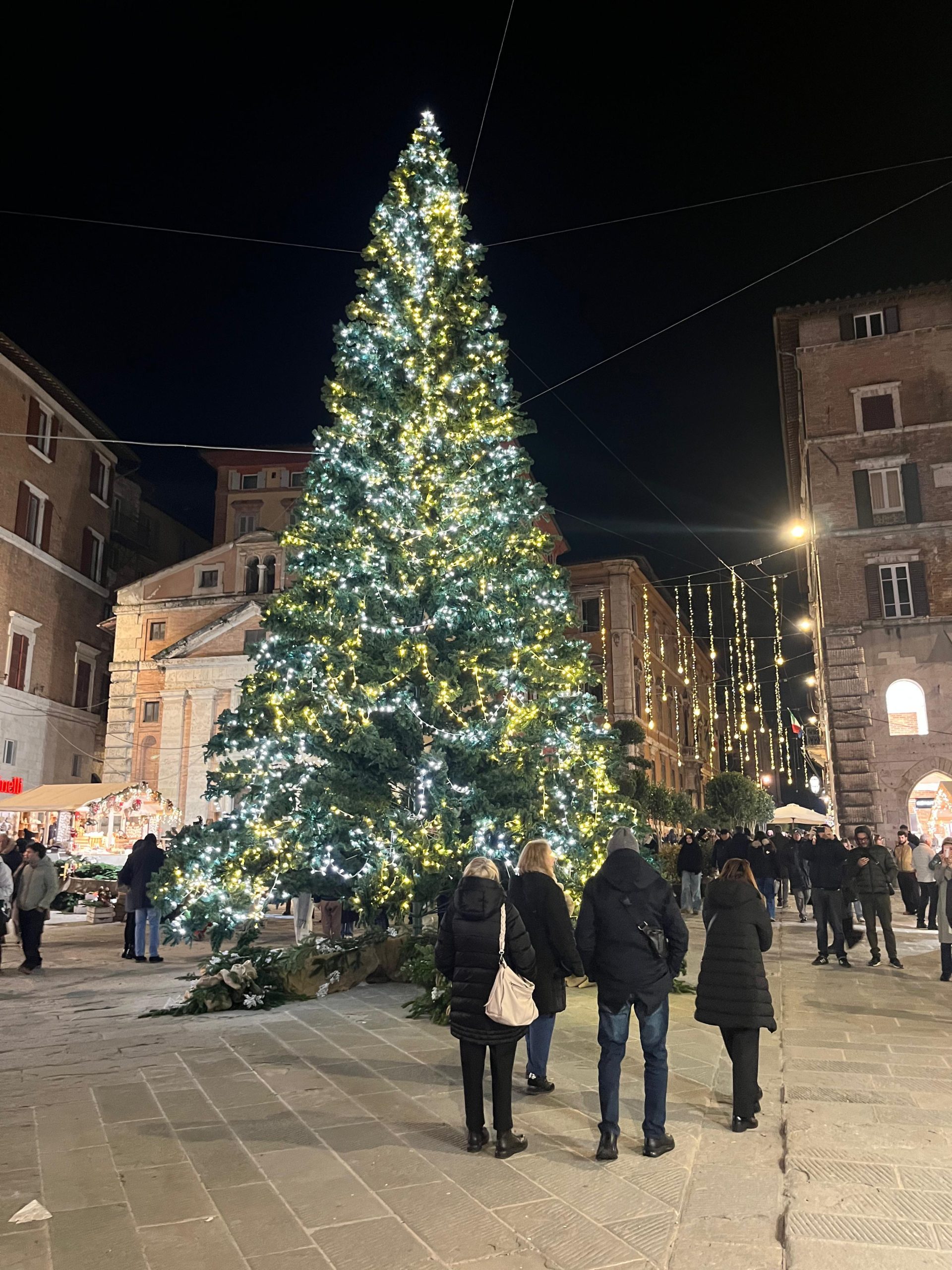 A Perugia è già Natale, accese ufficialmente le luminarie nel cuore del centro storico (foto) 30 A Perugia è già Natale, accese ufficialmente le luminarie nel cuore del centro storico (foto) 29