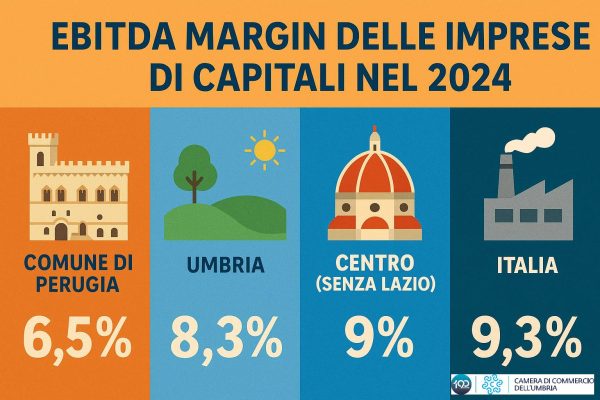 Perugia tra energia e opportunità: cresce il tessuto imprenditoriale, ma manca la redditività 3