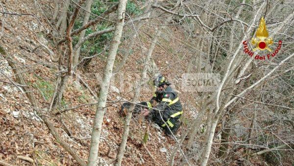 Cane intrappolato sul Monte Cucco, in salvo grazie all’intervento dei Vigili del Fuoco 3