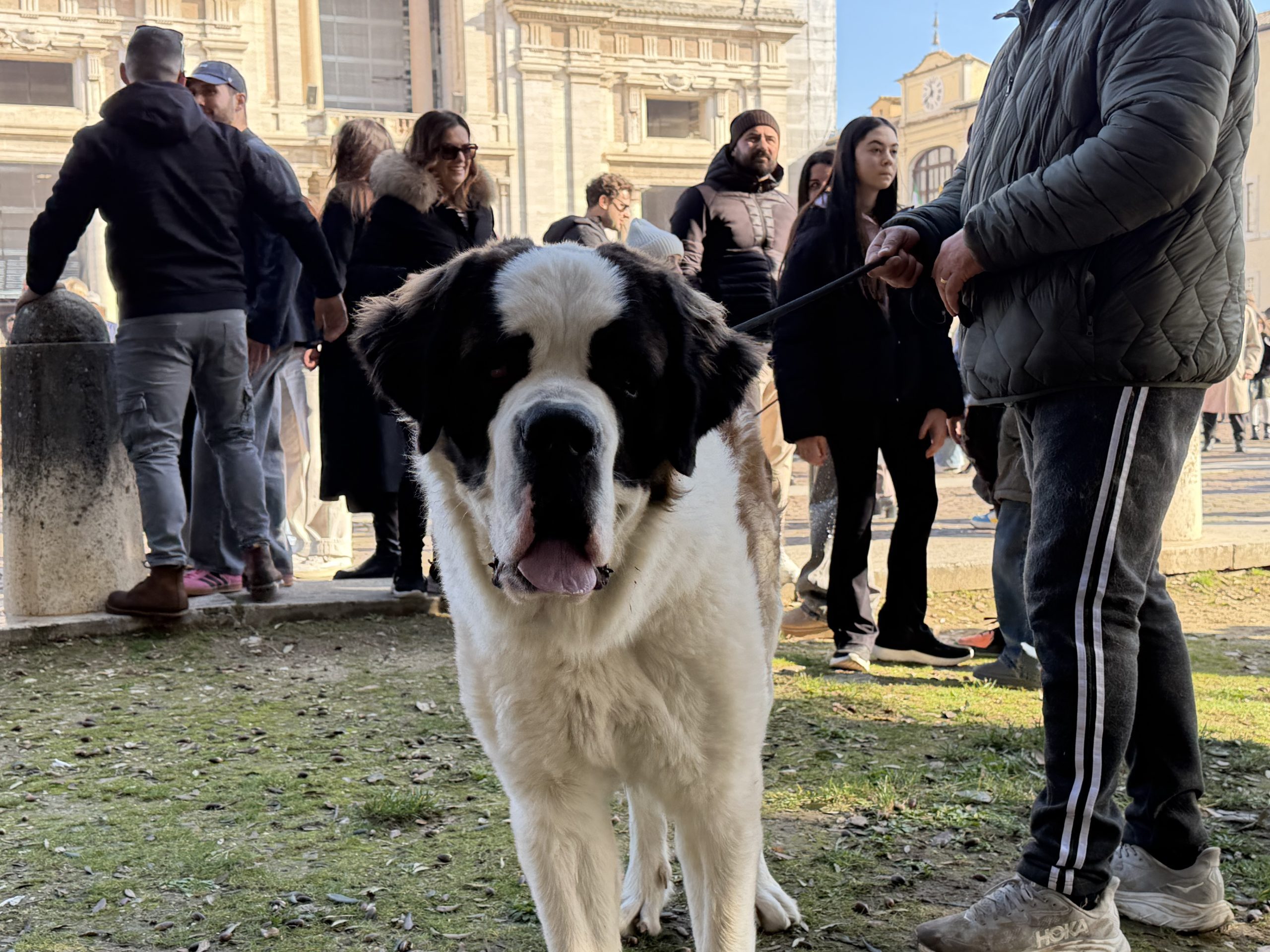 Grande festa a Santa Maria degli Angeli per il Piatto di Sant’Antonio (foto) 28 Grande festa a Santa Maria degli Angeli per il Piatto di Sant’Antonio (foto) 27