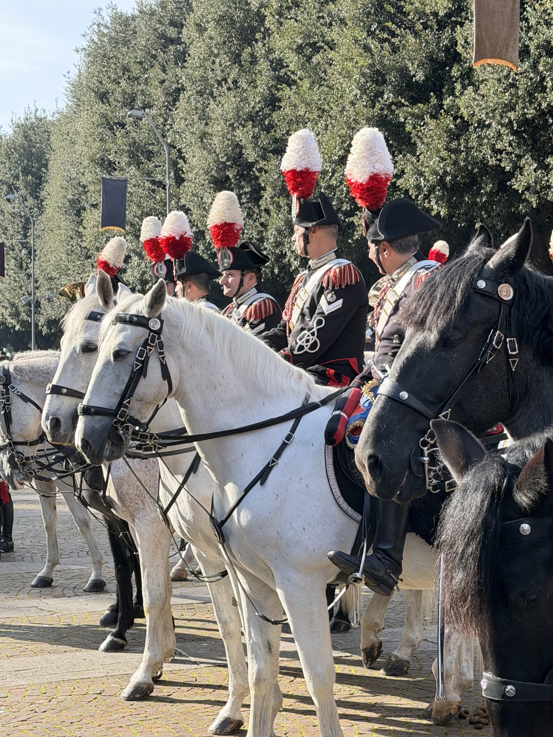 Grande festa a Santa Maria degli Angeli per il Piatto di Sant’Antonio (foto) 106 Grande festa a Santa Maria degli Angeli per il Piatto di Sant’Antonio (foto) 105
