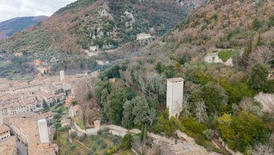 FAI, 700mila euro per “I Luoghi del Cuore”: 20 progetti finanziati in tutta Italia 10 FAI, 700mila euro per “I Luoghi del Cuore”: 20 progetti finanziati in tutta Italia 9