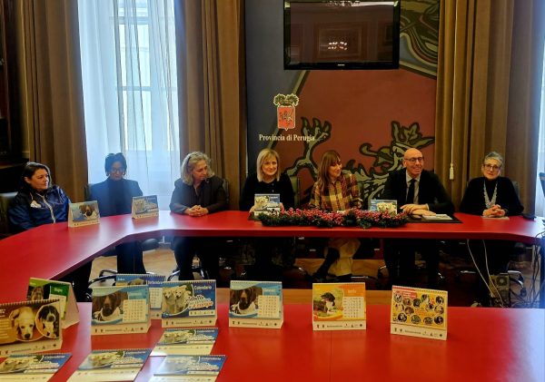 Calendario 2026 dello Sportello a 4 Zampe: dodici mesi per promuovere le adozioni 4 Calendario 2026 dello Sportello a 4 Zampe: dodici mesi per promuovere le adozioni 3