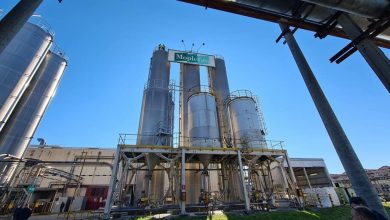 Crisi industriale a Terni, Filctem Cgil punta su Sangraf e Moplefan 7