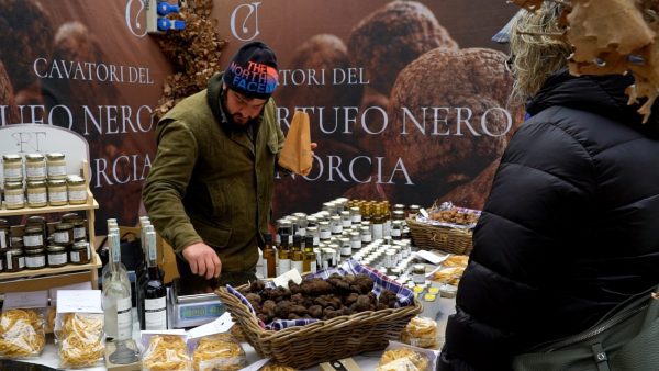 Nero Norcia, torna la vetrina del tartufo nero pregiato 3