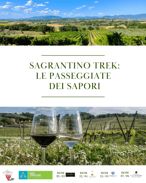 Tornano le passeggiate enogastronomiche di Sagrantino Trek 4 Tornano le passeggiate enogastronomiche di Sagrantino Trek 3