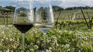 Tornano le passeggiate enogastronomiche di Sagrantino Trek 9