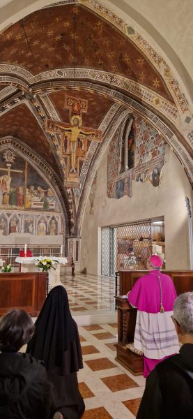 Diocesi di Assisi, Nocera Umbra, Gualdo Tadino e di Foligno: mons. Felice Accrocca è il nuovo vescovo (foto) 161