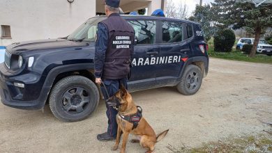 Montone, bonificata la zona di Faldo dopo gli avvelenamenti di animali 5