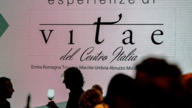 Perugia ospita “Esperienze di Vitae del Centro Italia”: vini, degustazioni e premi 4 Perugia ospita “Esperienze di Vitae del Centro Italia”: vini, degustazioni e premi 3