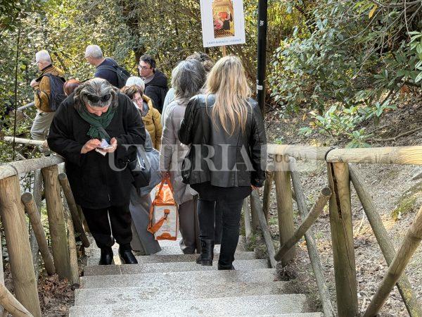 Assisi Porta Nuova, ascensore nel cassetto e scala mobile bloccata: le foto trasmesse alla redazione 3