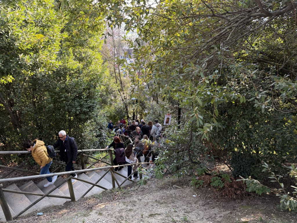 Assisi Porta Nuova, ascensore nel cassetto e scala mobile bloccata: le foto trasmesse alla redazione 13