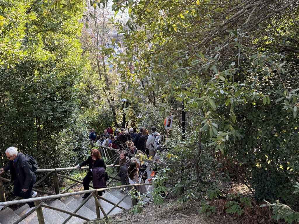 Assisi Porta Nuova, ascensore nel cassetto e scala mobile bloccata: le foto trasmesse alla redazione 17