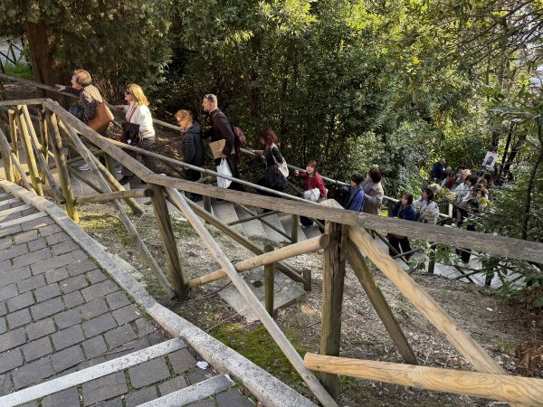 Assisi Porta Nuova, ascensore nel cassetto e scala mobile bloccata: le foto trasmesse alla redazione 61