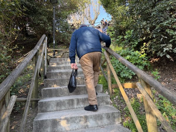 Assisi Porta Nuova, ascensore nel cassetto e scala mobile bloccata: le foto trasmesse alla redazione 5