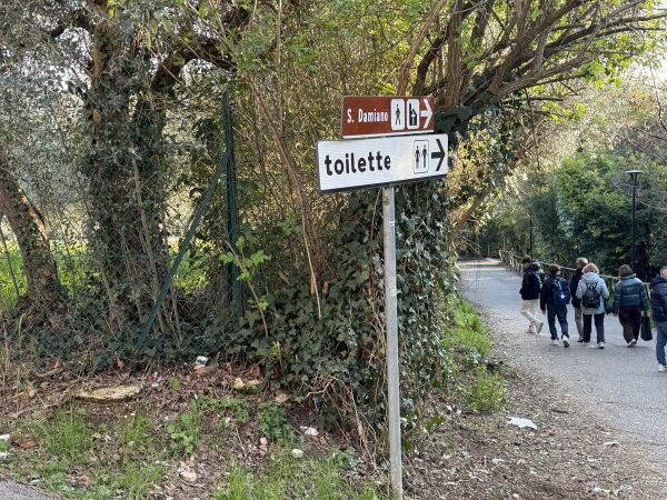 Assisi Porta Nuova, ascensore nel cassetto e scala mobile bloccata: le foto trasmesse alla redazione 71