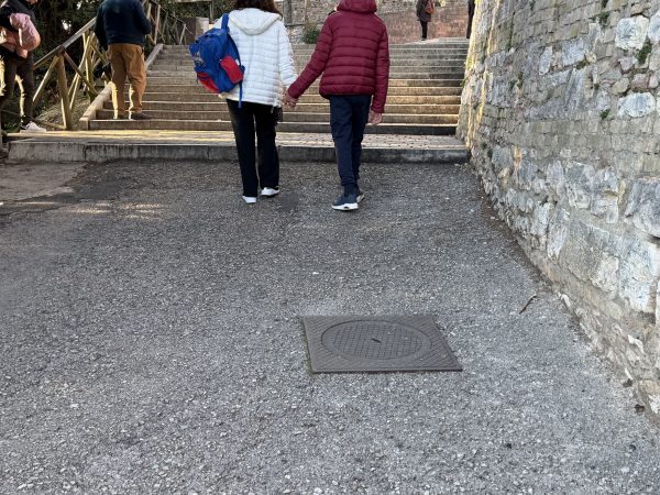 Assisi Porta Nuova, ascensore nel cassetto e scala mobile bloccata: le foto trasmesse alla redazione 73