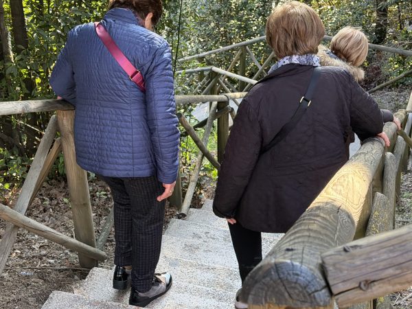 Assisi Porta Nuova, ascensore nel cassetto e scala mobile bloccata: le foto trasmesse alla redazione 89