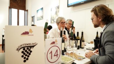 UMBRIAofWINE 2026, il vino umbro conquista i mercati internazionali 16 UMBRIAofWINE 2026, il vino umbro conquista i mercati internazionali 15