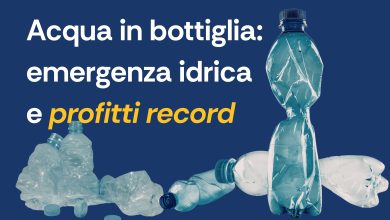Italia regina dell’acqua in bottiglia: l’Umbria tra primati e sprechi 17