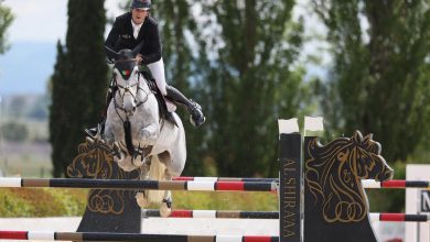 Montefalco, grande spettacolo per il Sagrantino Show Jumping: in arrivo il secondo weekend 1