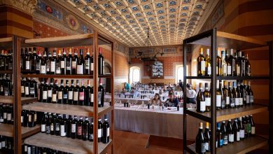 Montefalco rilancia il vino tra arte, formazione e grandi eventi 17