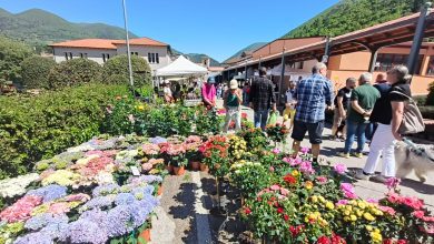 Sant’Anatolia di Narco, torna “Primavera in Valnerina” tra fiori, borghi e tradizioni 11