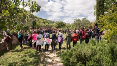 Premiato dal FAI il progetto dell’ITAS “Giordano Bruno” di Perugia per la rigenerazione urbana 6 Premiato dal FAI il progetto dell’ITAS “Giordano Bruno” di Perugia per la rigenerazione urbana 5