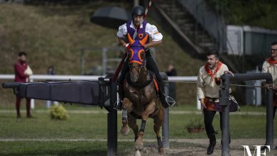 A Narni torna il “Trofeo Narni”: il Campo de li Giochi riapre all’equitazione storica 31