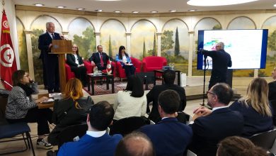 Umbria–Tunisia, interscambio da 93 milioni ma potenziale fino a 686: il ponte industriale del Mediterraneo 6
