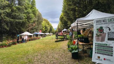 RosaFidelia 2026 inaugura a Spello: Villa Fidelia capitale della rosa e della sostenibilità 6 RosaFidelia 2026 inaugura a Spello: Villa Fidelia capitale della rosa e della sostenibilità 5