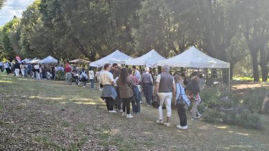 RosaFidelia debutta con successo a Villa Fidelia: Spello celebra rose, natura e paesaggio 19