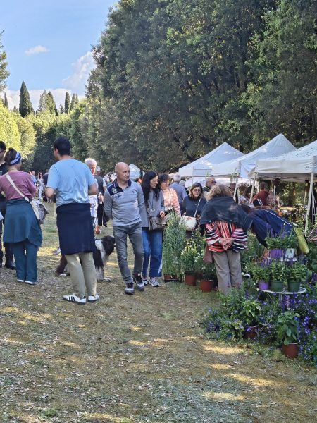RosaFidelia debutta con successo a Villa Fidelia: Spello celebra rose, natura e paesaggio 4 RosaFidelia debutta con successo a Villa Fidelia: Spello celebra rose, natura e paesaggio 3