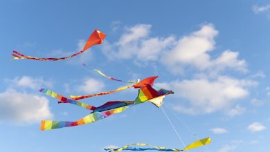 “Coloriamo i cieli” torna a incantare il Trasimeno: spettacolo a Castiglione del Lago 17