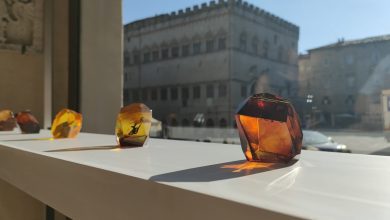 ‘Requiem’ di Chiara Fantaccione in mostra a Perugia: arte contemporanea e memoria digitale 17