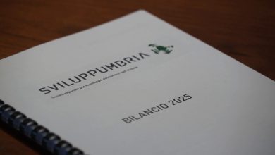 Sviluppumbria approva il bilancio 2025: gestiti oltre 97 milioni per imprese e famiglie 7
