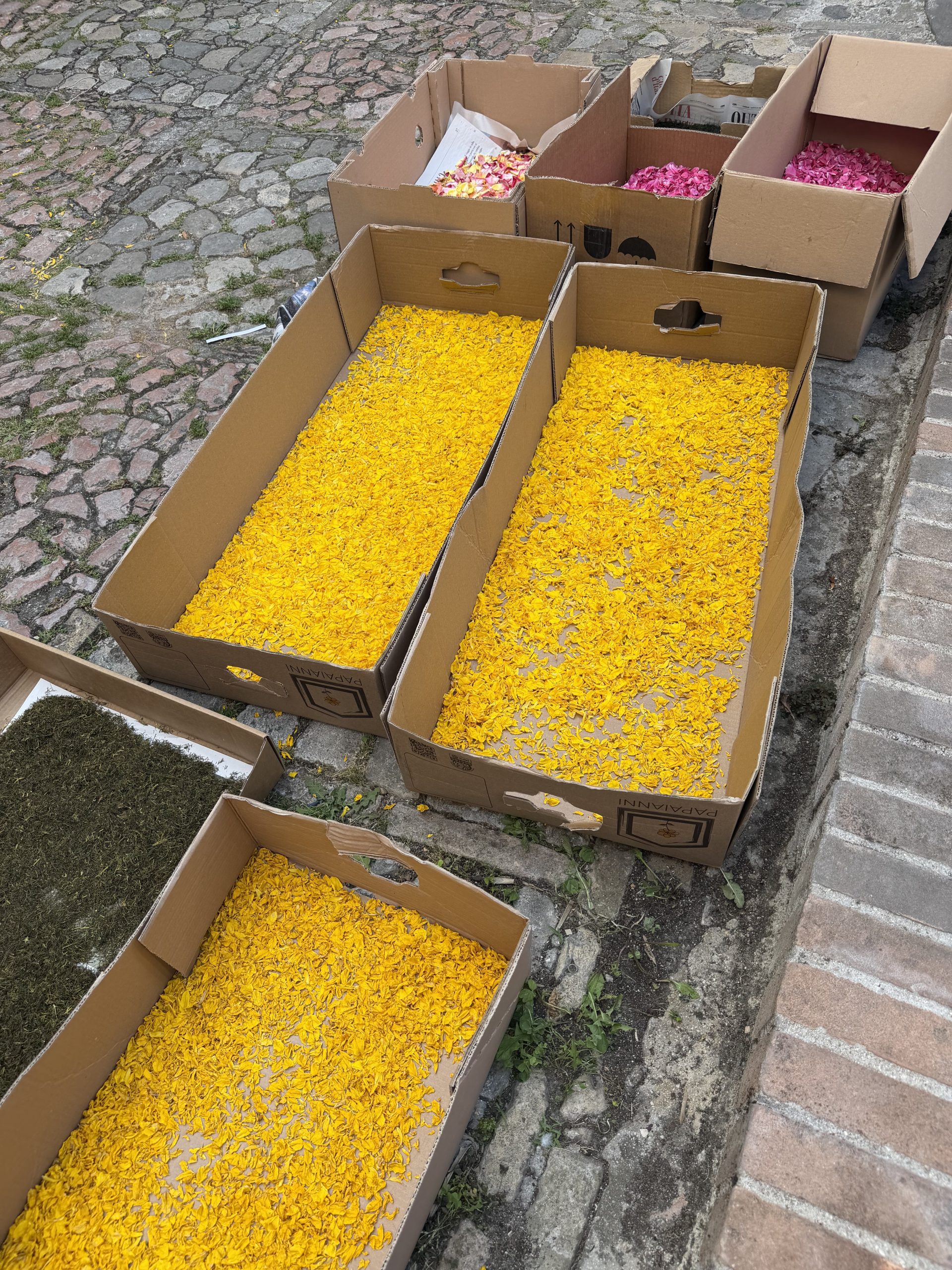 Spello, tutto pronto per le Infiorate: si accende la magia della Notte dei Fiori (foto) 28 Spello, tutto pronto per le Infiorate: si accende la magia della Notte dei Fiori (foto) 27