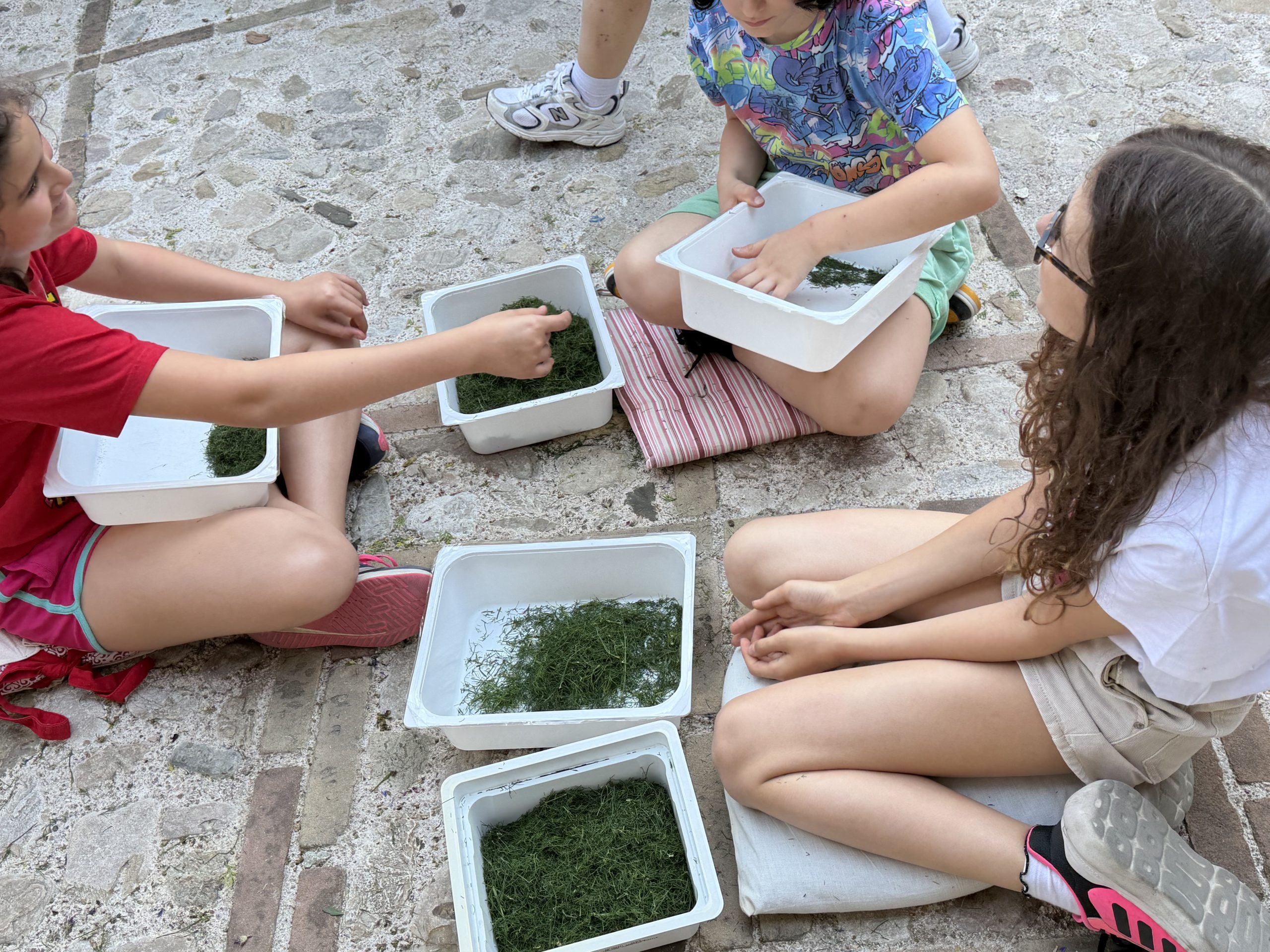 Spello, tutto pronto per le Infiorate: si accende la magia della Notte dei Fiori (foto) 56 Spello, tutto pronto per le Infiorate: si accende la magia della Notte dei Fiori (foto) 55