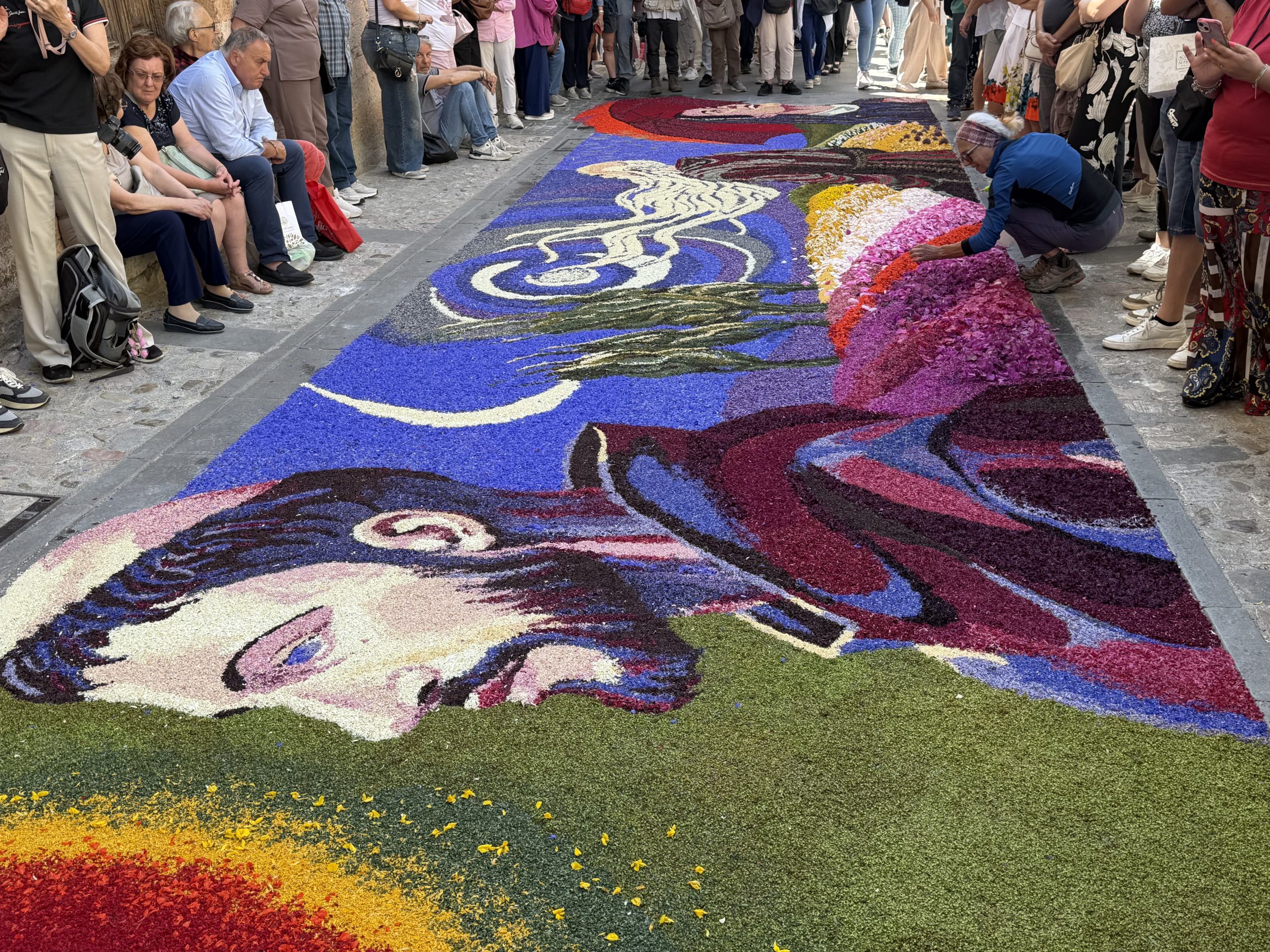 Spello, si chiudono le Infiorate 2026: migliaia di visitatori per la Processione del Corpus Domini e i tappeti floreali (foto+video) 31 Spello, si chiudono le Infiorate 2026: migliaia di visitatori per la Processione del Corpus Domini e i tappeti floreali (foto+video) 30