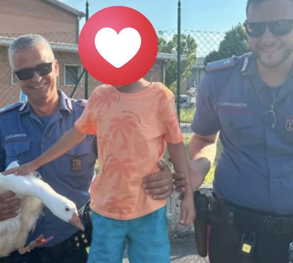 Doppio salvataggio di animali nel Folignate: salvati un'oca e un lagotto grazie a cittadini e forze dell'ordine (foto) 4 Doppio salvataggio di animali nel Folignate: salvati un'oca e un lagotto grazie a cittadini e forze dell'ordine (foto) 3