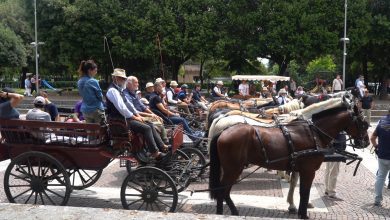 Da Spoleto ad Assisi in carrozza: il viaggio dell’inclusione sulle orme di San Francesco 25